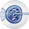 ivf-img